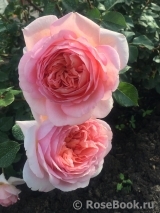 Abraham Darby Abraham Darby