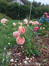 Abraham Darby Abraham Darby