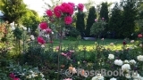 Rosarium Uetersen Rosarium Uetersen