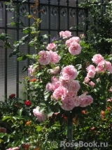 Cote Jardins Cote Jardins