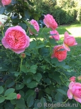 Boscobel Boscobel