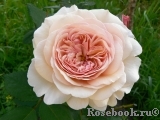 A Shropshire Lad A Shropshire Lad