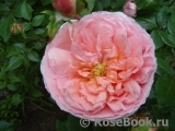 Abraham Darby Abraham Darby