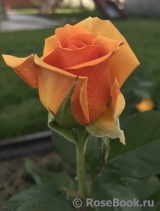 Ashram Ashram