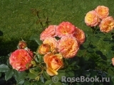 Gartenspass ® Gartenspass ®