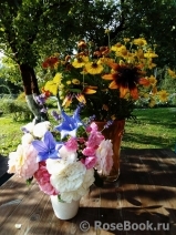 COMPOSITION COMPOSITION