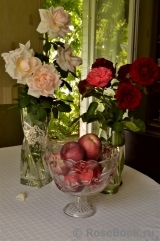 COMPOSITION COMPOSITION