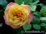 Gartenspass ® Gartenspass ®