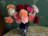 COMPOSITION COMPOSITION
