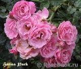 Hansa Park