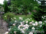 Abraham Darby Abraham Darby
