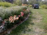 Gartenspass ® Gartenspass ®