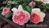 Abraham Darby Abraham Darby