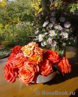 COMPOSITION COMPOSITION