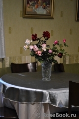 COMPOSITION COMPOSITION