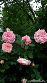 George Sand George Sand