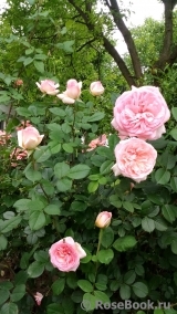 George Sand George Sand