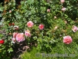 Abraham Darby Abraham Darby