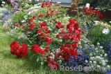 Sommerabend Sommerabend