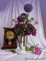 COMPOSITION COMPOSITION