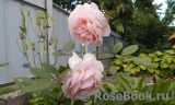 A Shropshire Lad A Shropshire Lad
