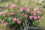 Princess Alexandra of Kent Princess Alexandra of Kent