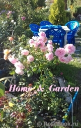 Home & Garden Home & Garden