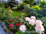 Chandos Beauty Chandos Beauty