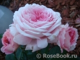 Rosengräfin Marie Henriette Rosengräfin Marie Henriette