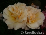 Diamond Jubilee