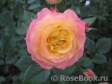 Gartenspass ® Gartenspass ®