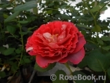 Victoriana Victoriana