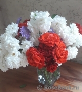 COMPOSITION COMPOSITION