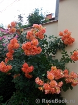 Westerland Westerland
