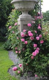 Gertrude Jekyll Gertrude Jekyll