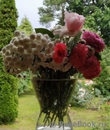 COMPOSITION COMPOSITION