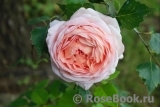 Abraham Darby Abraham Darby