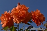 Westerland Westerland