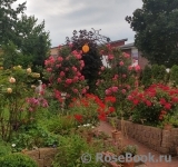Rosarium Uetersen Rosarium Uetersen