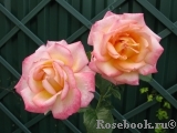 Pierre Tchernia Pierre Tchernia