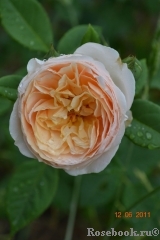 A Shropshire Lad A Shropshire Lad
