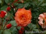 Westerland Westerland