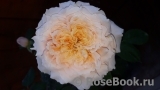Paul Bocuse Paul Bocuse