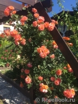 Westerland Westerland