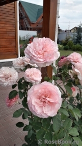 George Sand George Sand