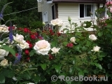 Chandos Beauty Chandos Beauty