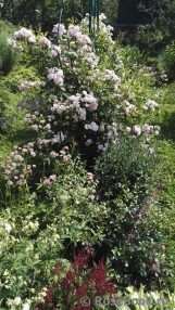 Brise Parfum Brise Parfum