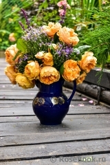 Crown Princess Margareta® Crown Princess Margareta®