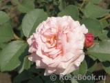 A Shropshire Lad A Shropshire Lad