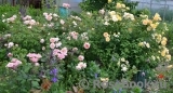 Abraham Darby Abraham Darby